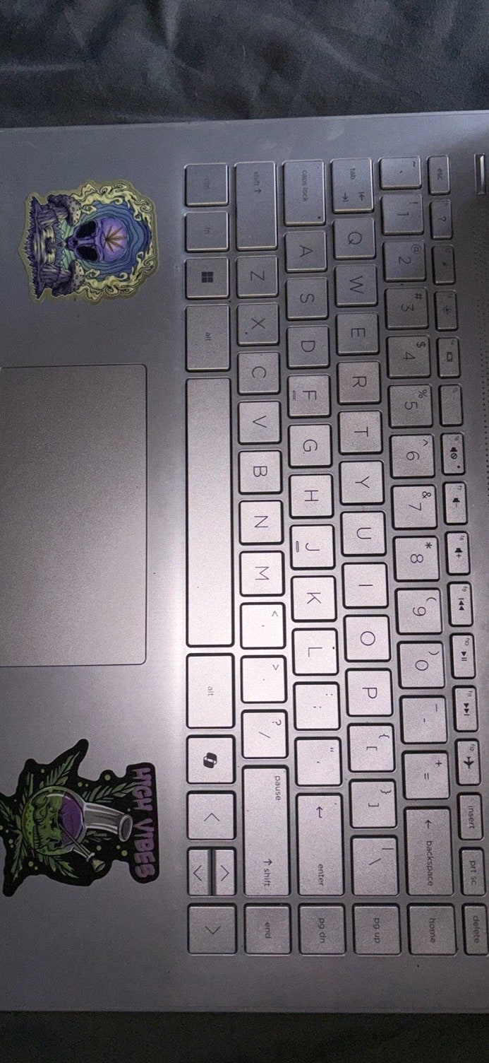 HP Silver Laptop Notebook with Charger and Stickers
