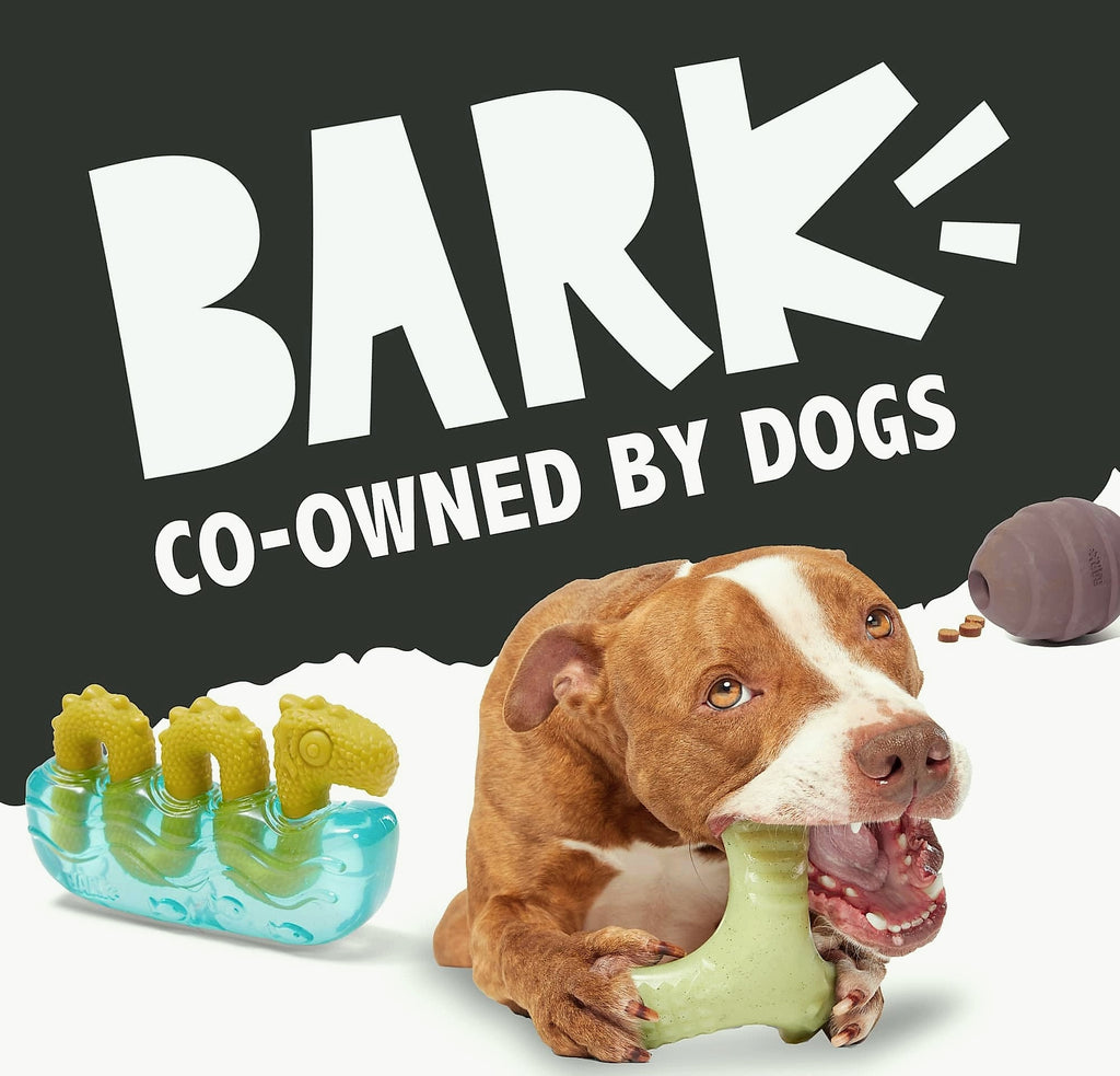 Barkbox Grey Bear Hugger Super Chewer Plush Dog Toy