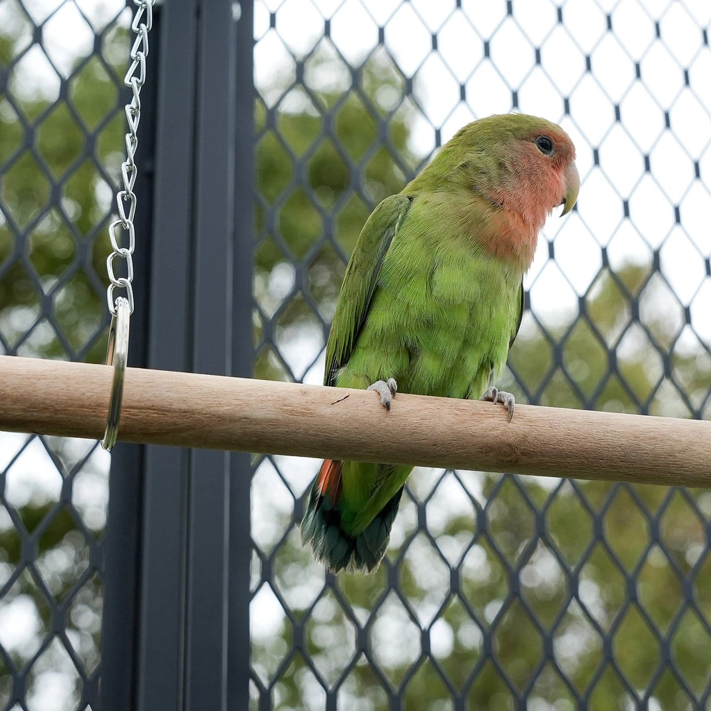 65" Heavy Duty Birdcage Aviary Large for Parakeet Macaw Parrot Budgies Lovebirds