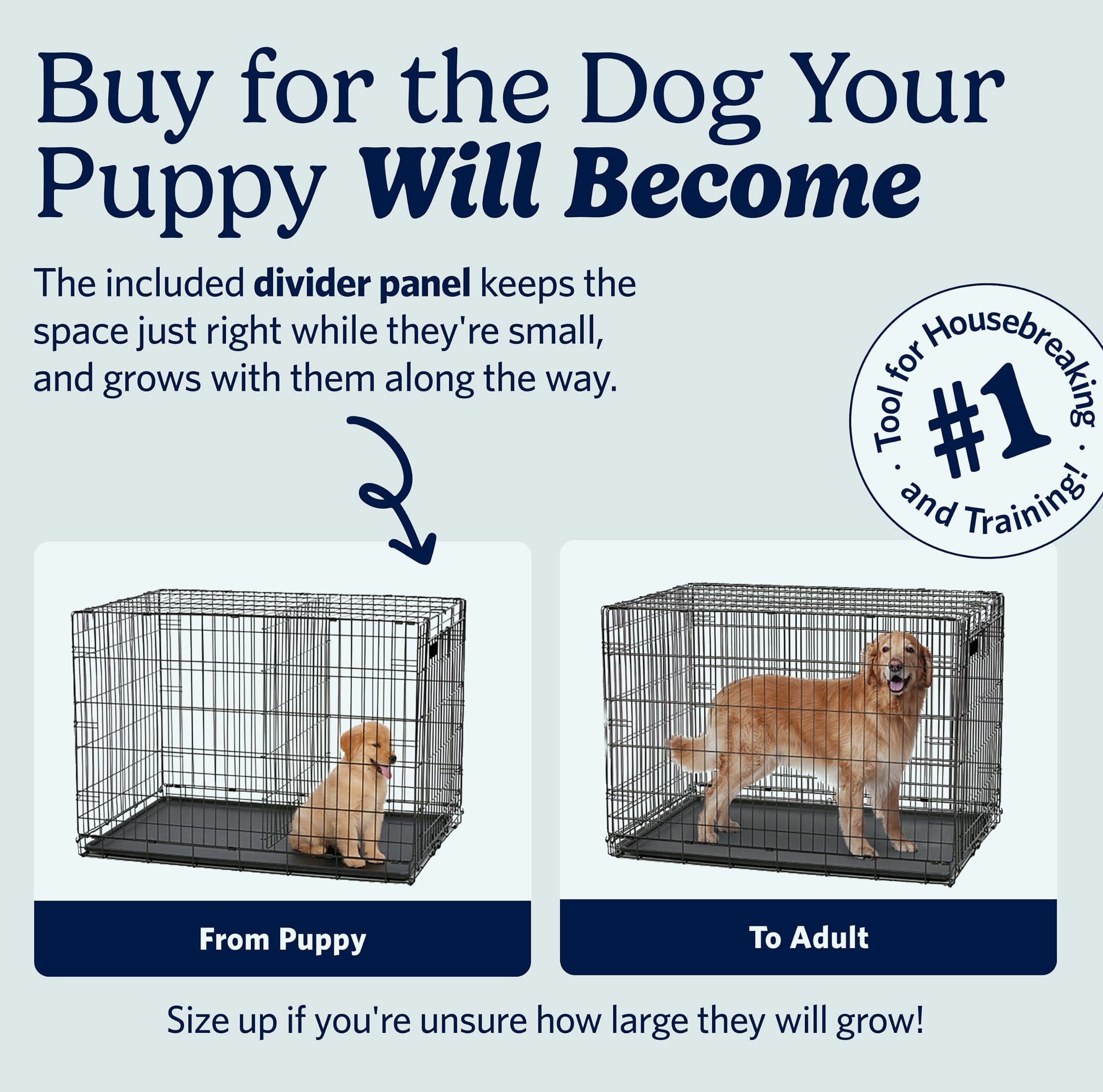 MidWest Homes for Pets 30-Inch iCrate Dog Crate for Medium Breeds