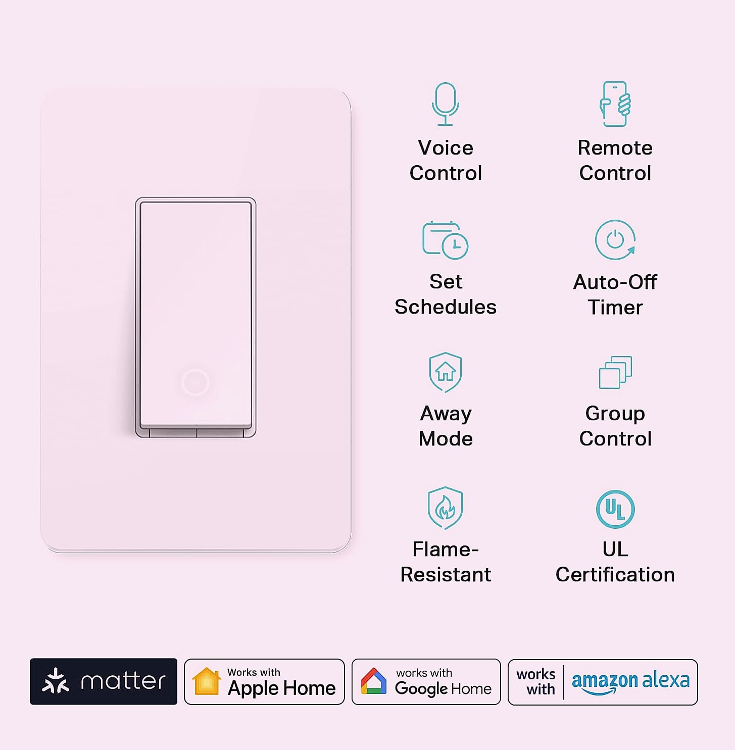 Kasa Smart Matter Light Switch KS205 Voice Control