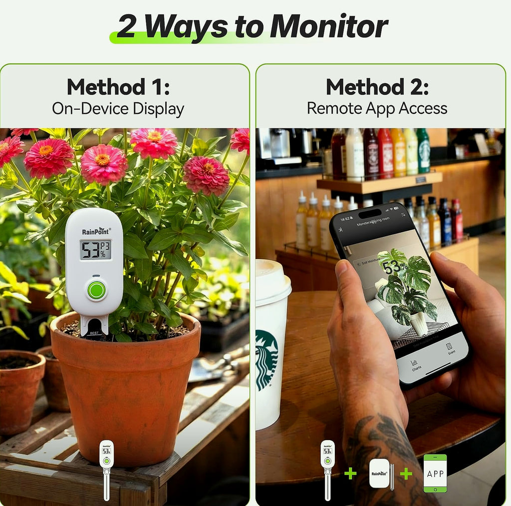 RAINPOINT Smart Wireless Moisture Meter with WiFi Hub Kit