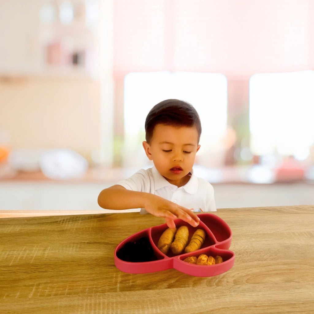 Liitle Sadi Silicone Airplane Toddler Plate, BPA-Free, Baby Plate, Baby Dish.