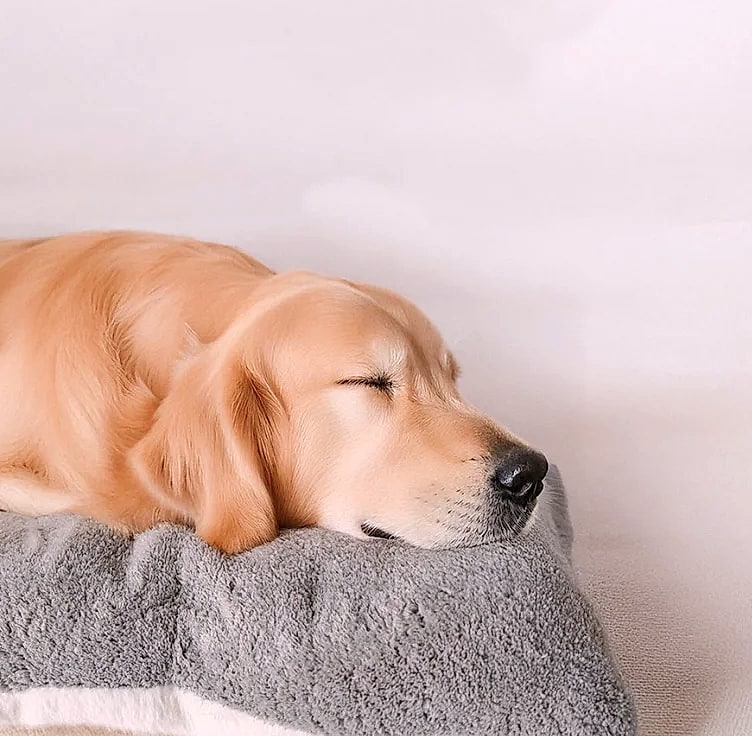 Booteely Extra Large Plush Dog Bed Sofa, 120cm Pet Mat