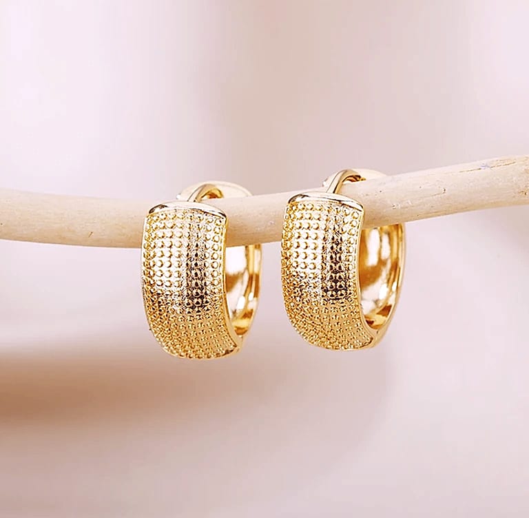 Small Hoop Earrings Stainless Steel Gold Silver Pierced