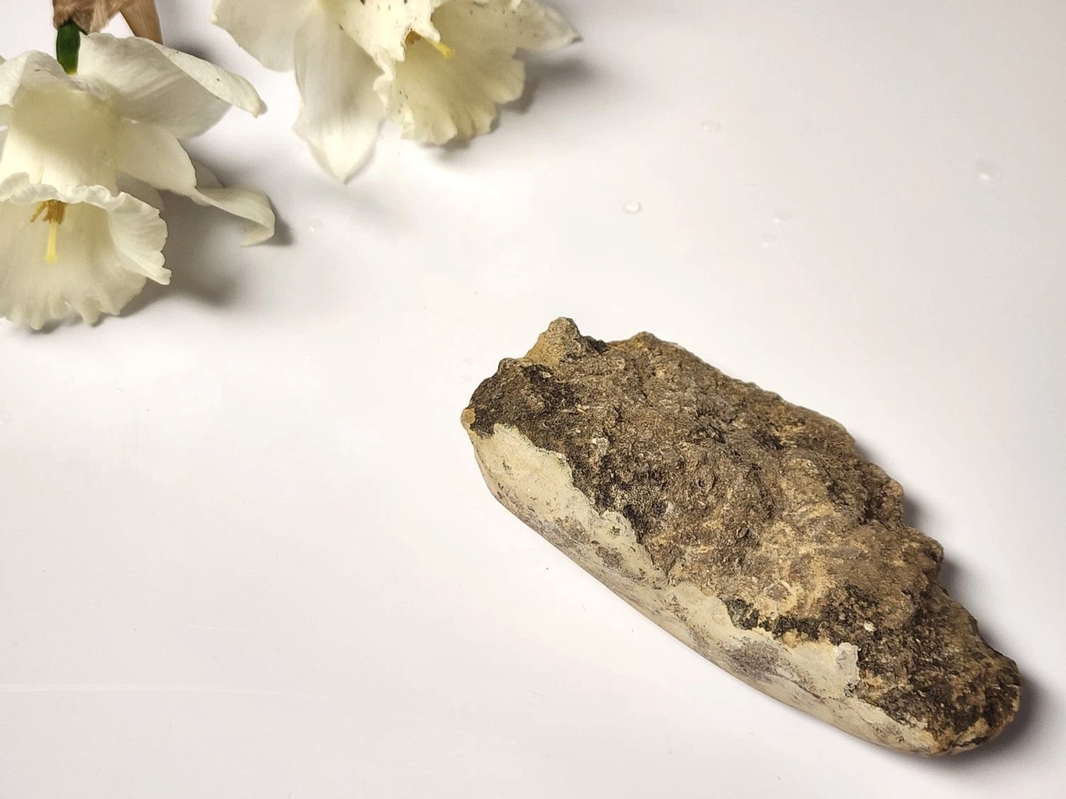 Handmade Mudrock Stone Muscle Scraper Tool