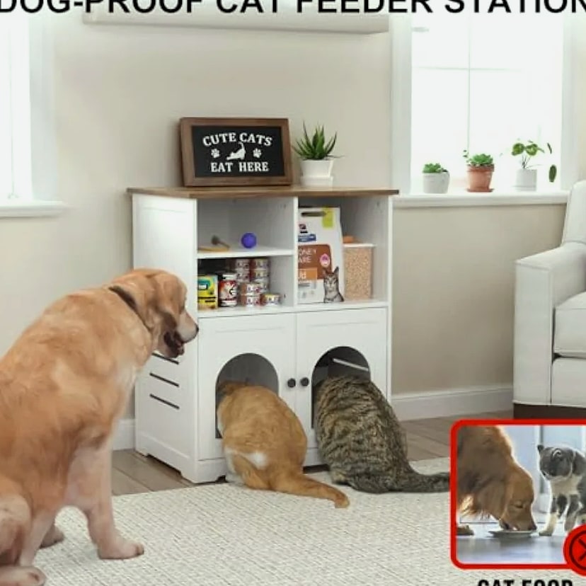 Cat Feeding Station Cabinet with Microchip Pet Feeder Access
