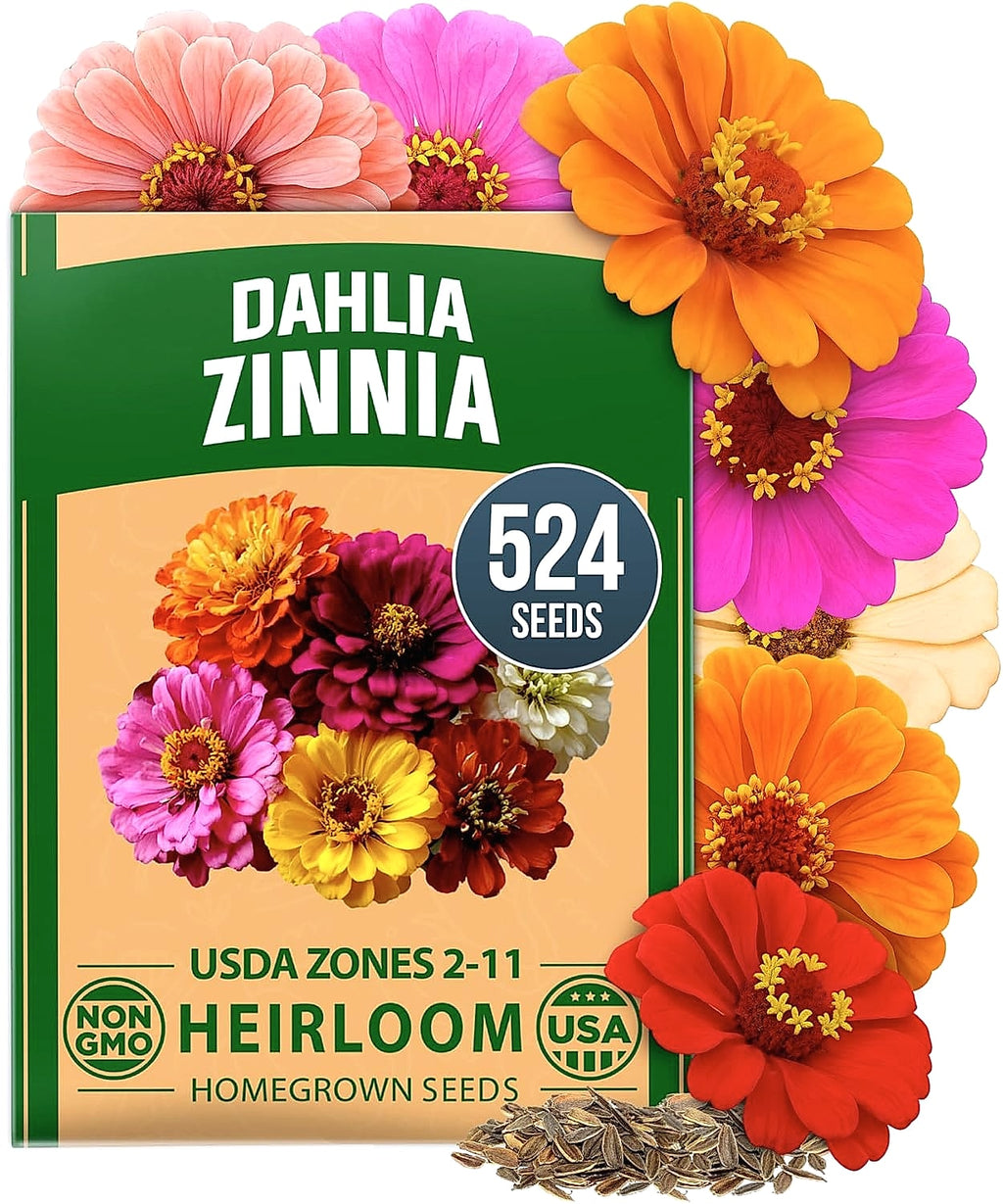 HOME GROWN Zinnia Dahlia Seeds 524 Pack Non-GMO Flowers