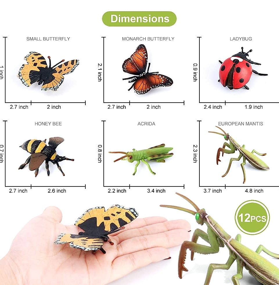 Volnau 12-Piece Insect Figure Set for Kids Educational Toys