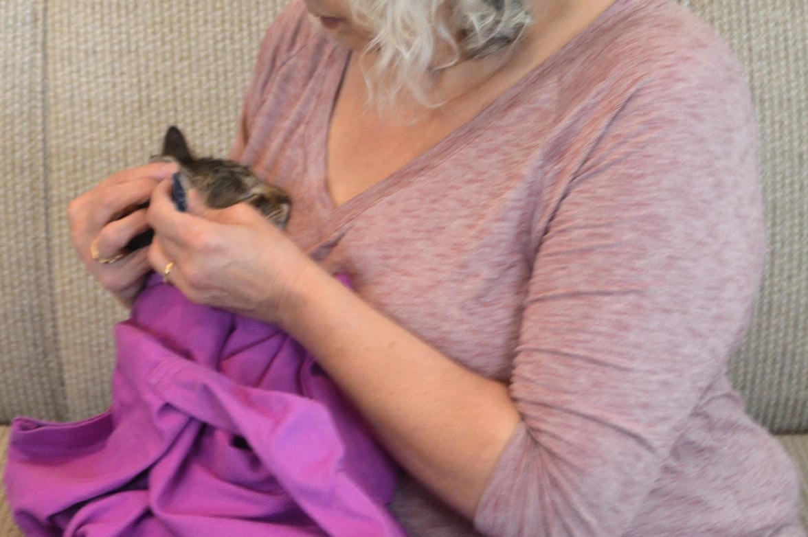 Cat-in-the-bag Cozy Comfort Carrier