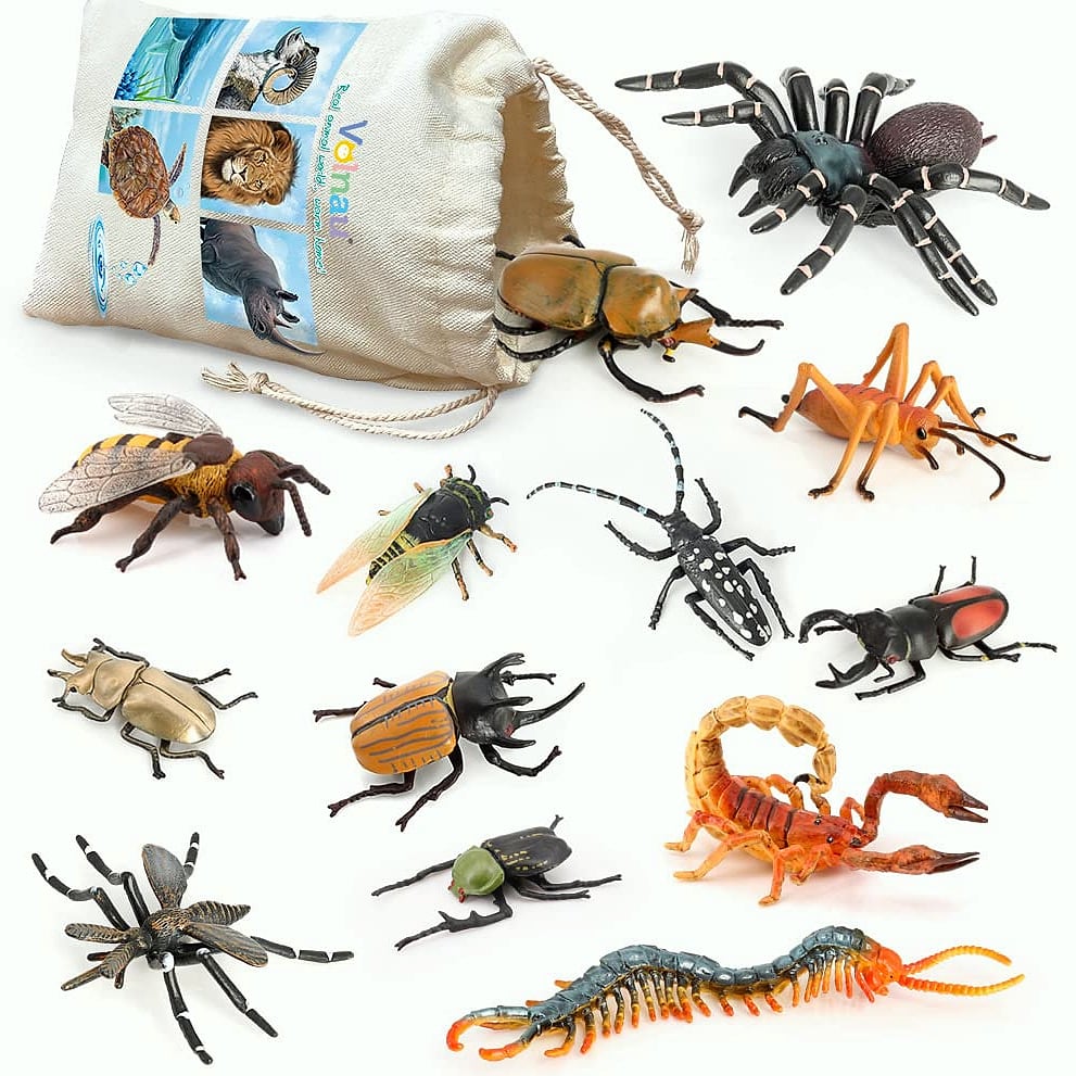 Volnau 12-Piece Insect Figure Set for Kids Educational Toys