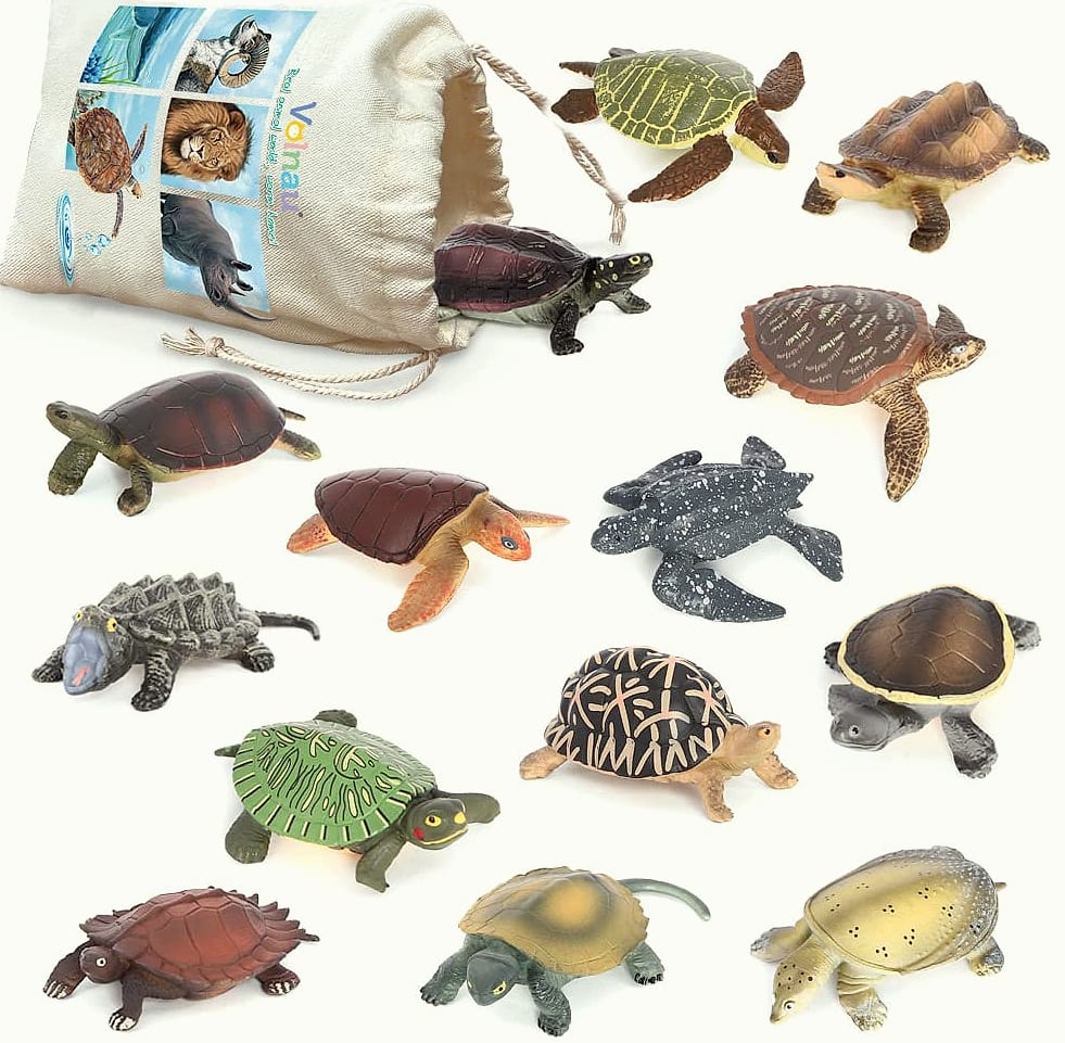 Volnau Mini Sea Turtle Figures 14-Piece Animal Toy Set