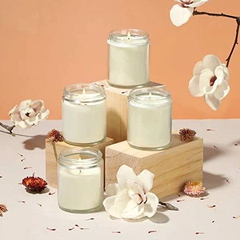 8 Oz Glass Candle Jars with Lids Round Containers For Candle Making
