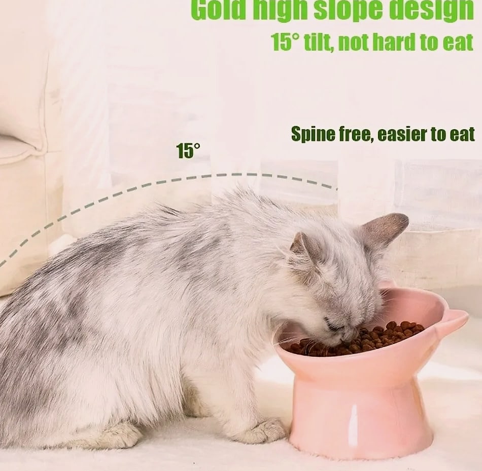 AEHOME Cat-Ear Elevated Pet Bowl Feeder for Cats