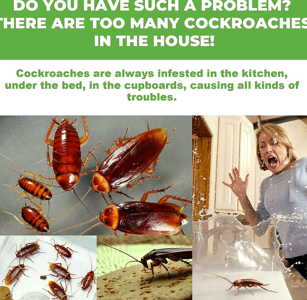 Cockroach Killer Bait Station Sticker, 12-Pack Natural Repellent