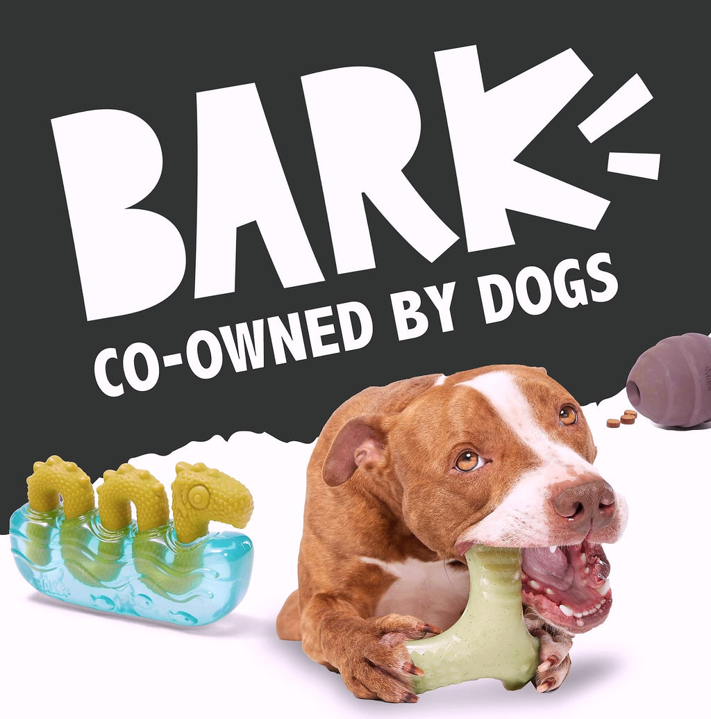 Barkbox Dogness Monster Large Dog Chew Toy for Aggressive Chewers