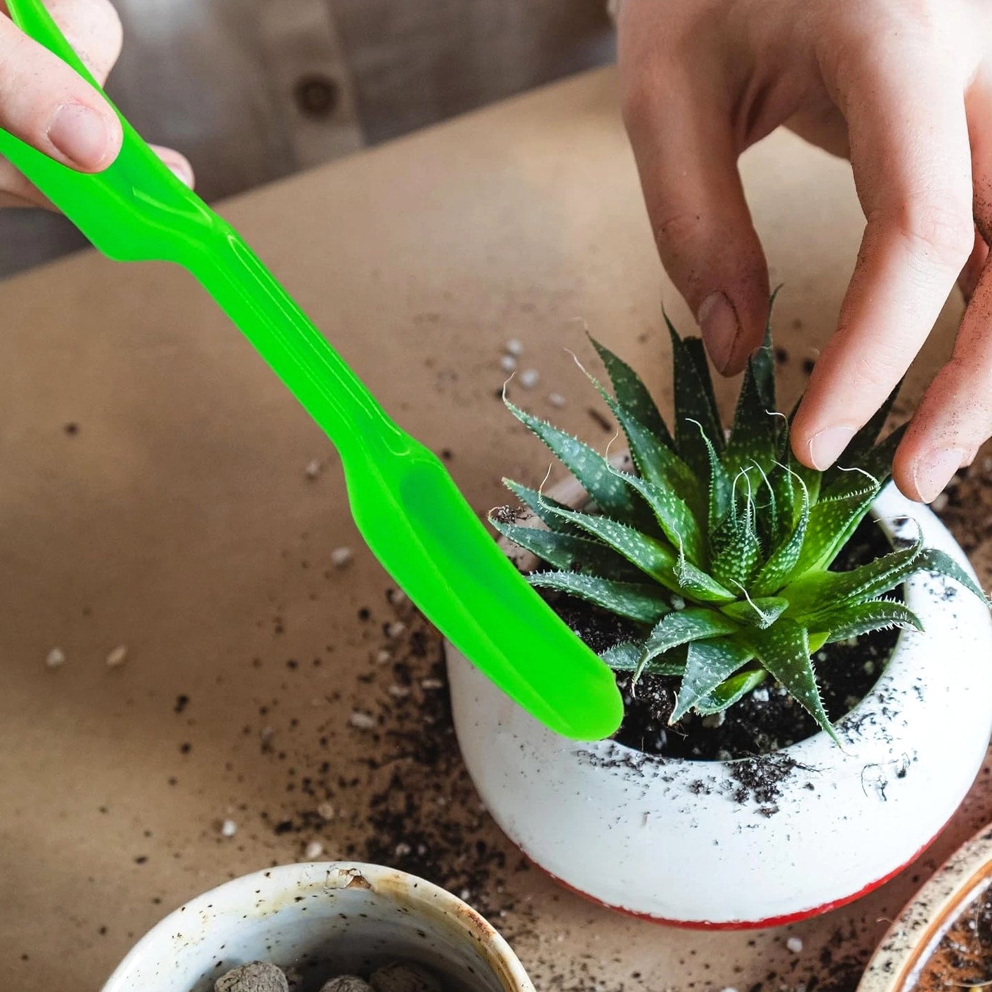 6PCS Mini Garden Hand Succulent Transplanting Tools Set, Plastic Seedling Dibber