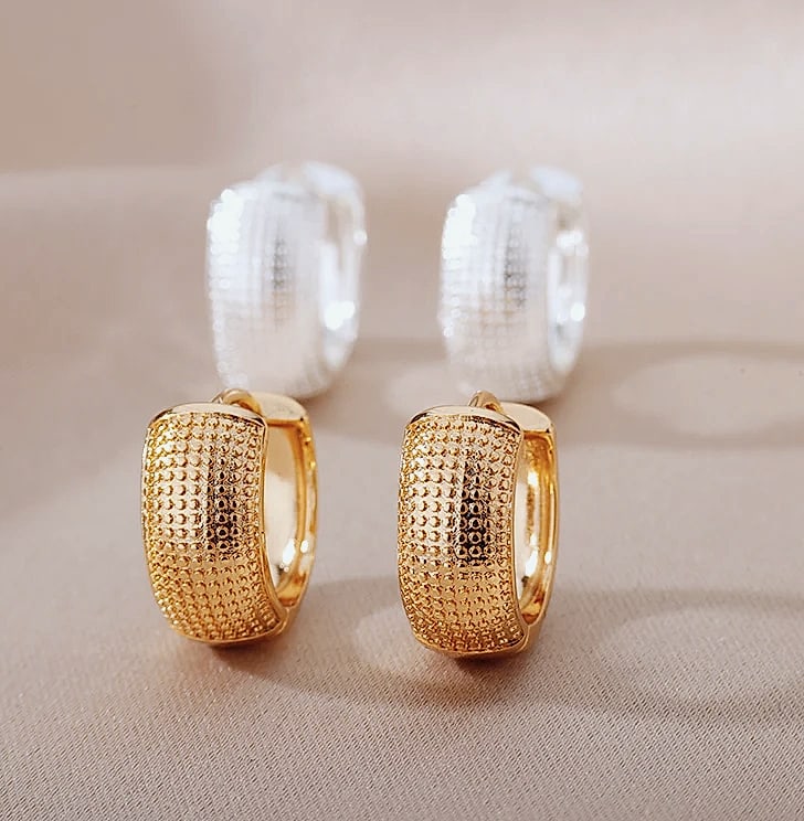 Small Hoop Earrings Stainless Steel Gold Silver Pierced