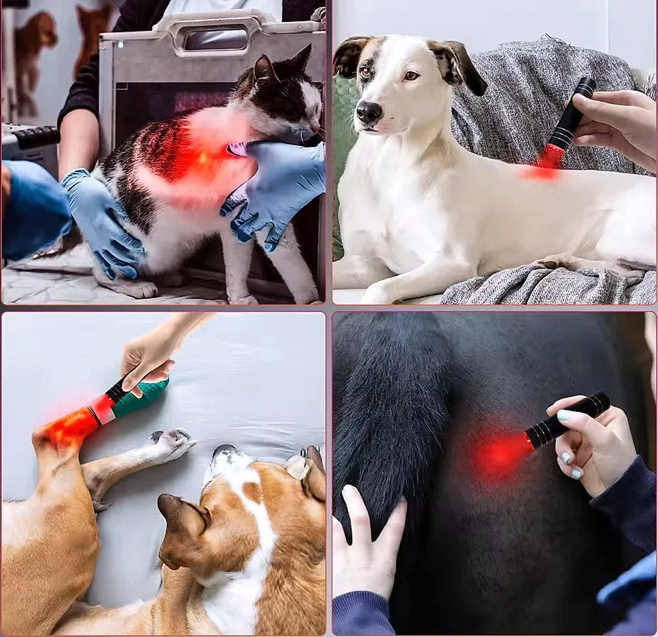 Vilnason Red Light Therapy Flashlight 660nm 850nm LED