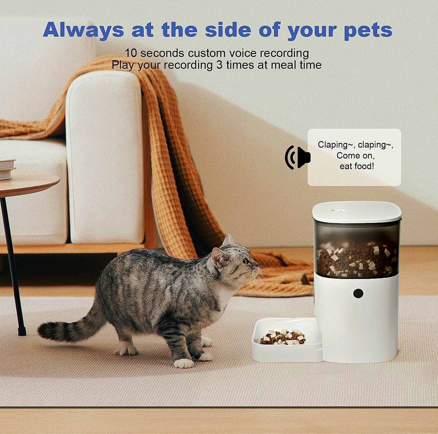 ANDOLL HOME Automatic Cat Feeder 4L with Voice Recorder