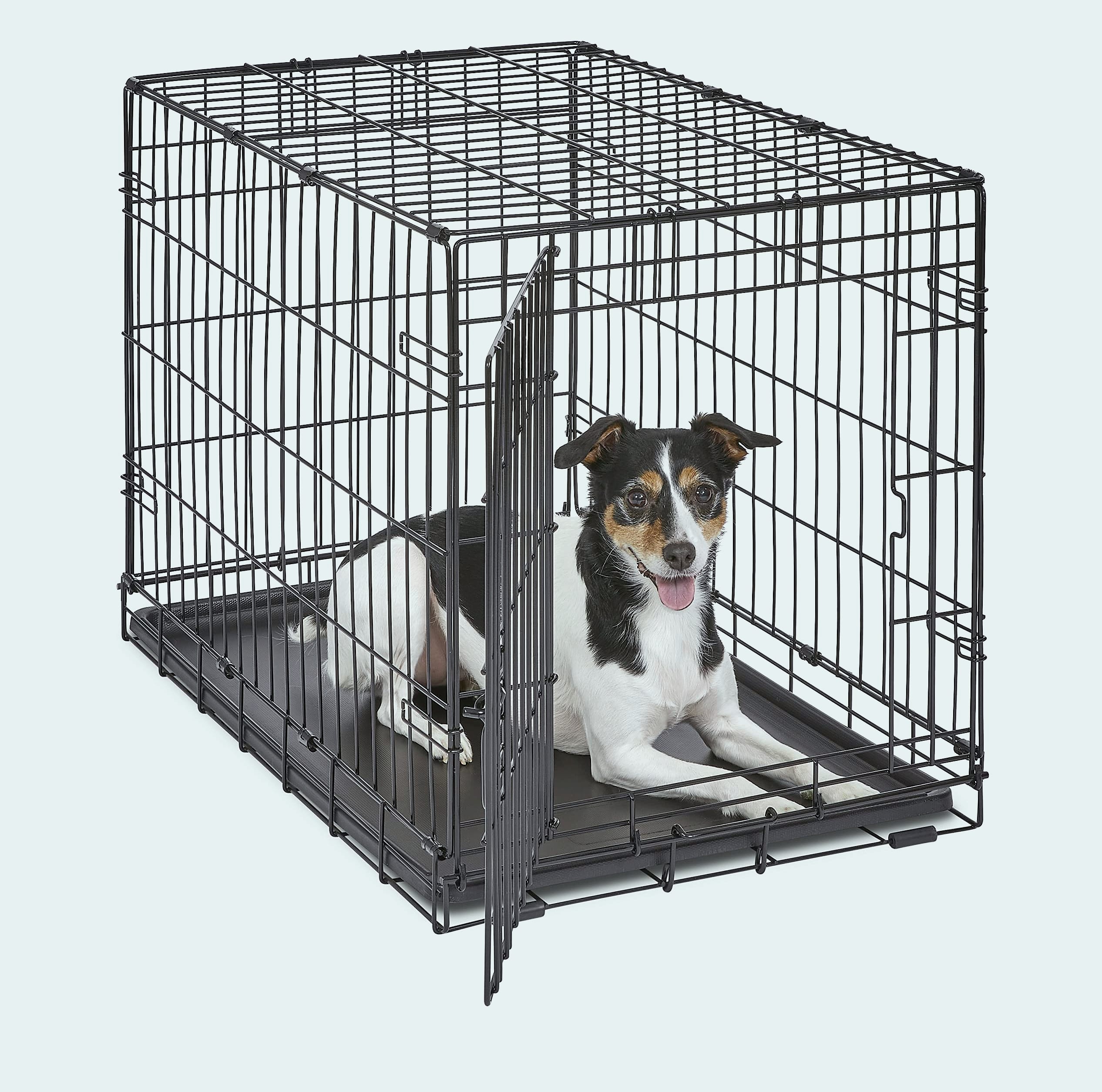 New World 42-Inch Dog Crate for Large Breeds, 71-90 lbs