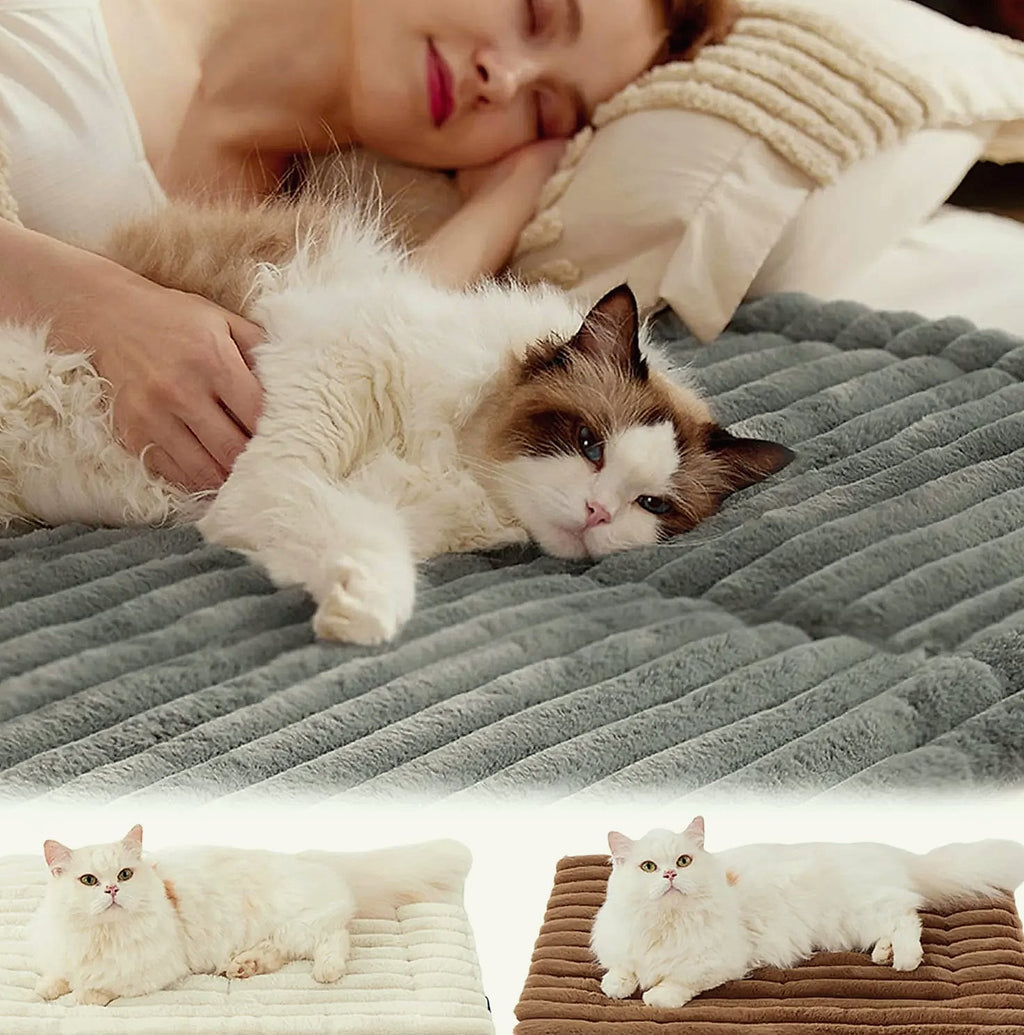 DOORSACCERY Self-Warming Pet Bed Mat for Cats and Dogs