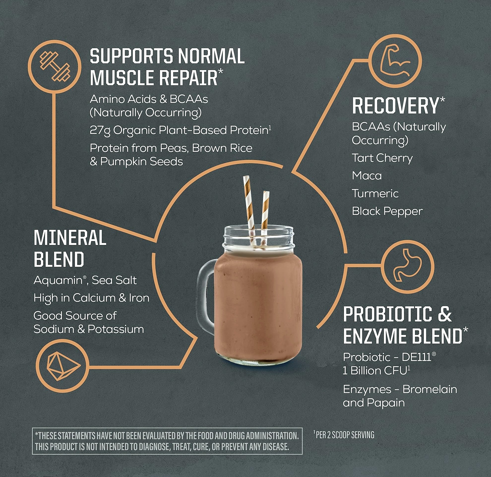 Sunwarrior Organic Plant Based Protein Powder Chocolate