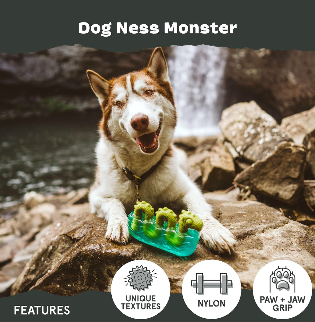 Barkbox Dogness Monster Large Dog Chew Toy for Aggressive Chewers