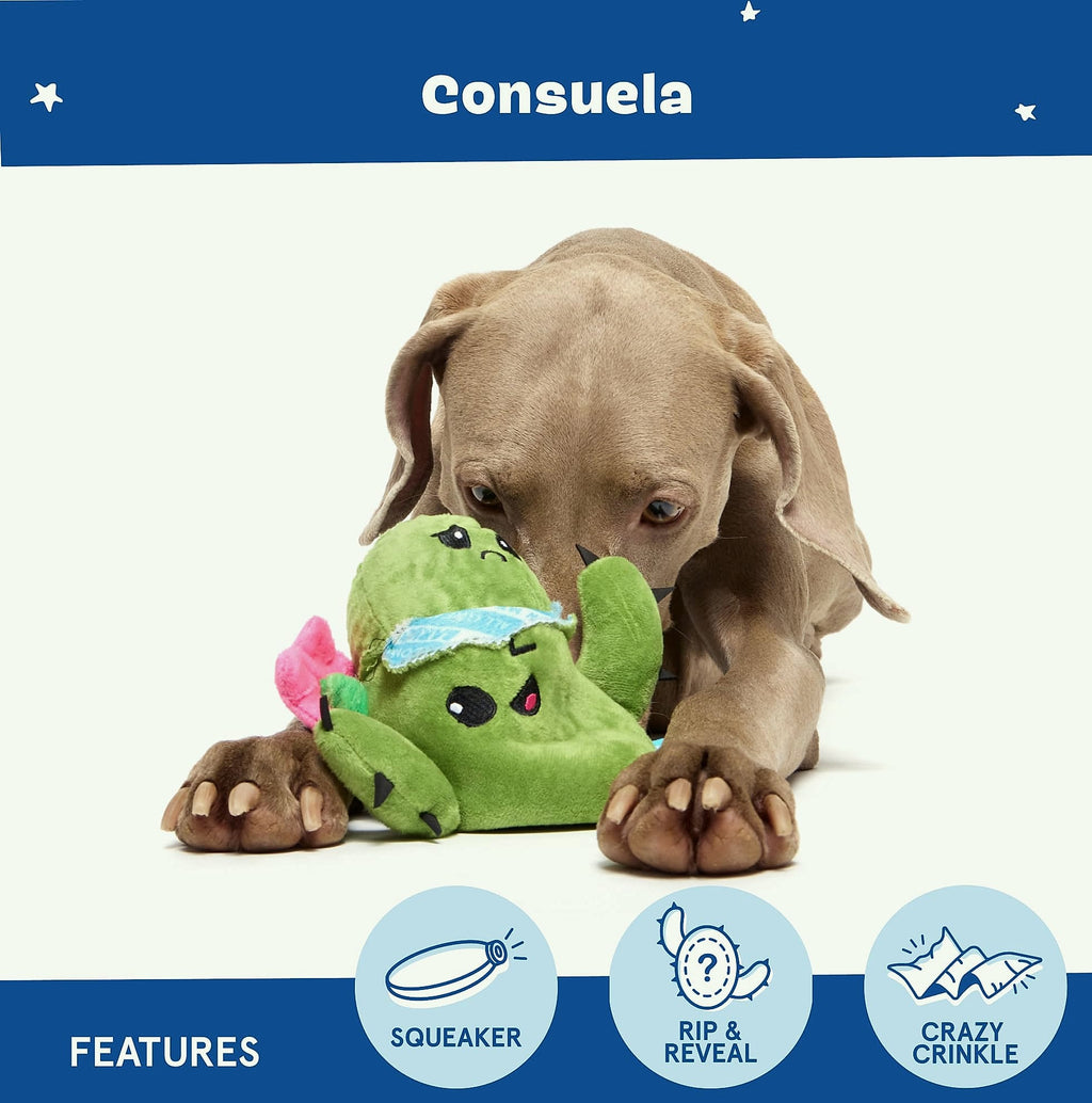 Barkbox Consuela the Cactus 2-in-1 Plush Dog Toy with Squeaker
