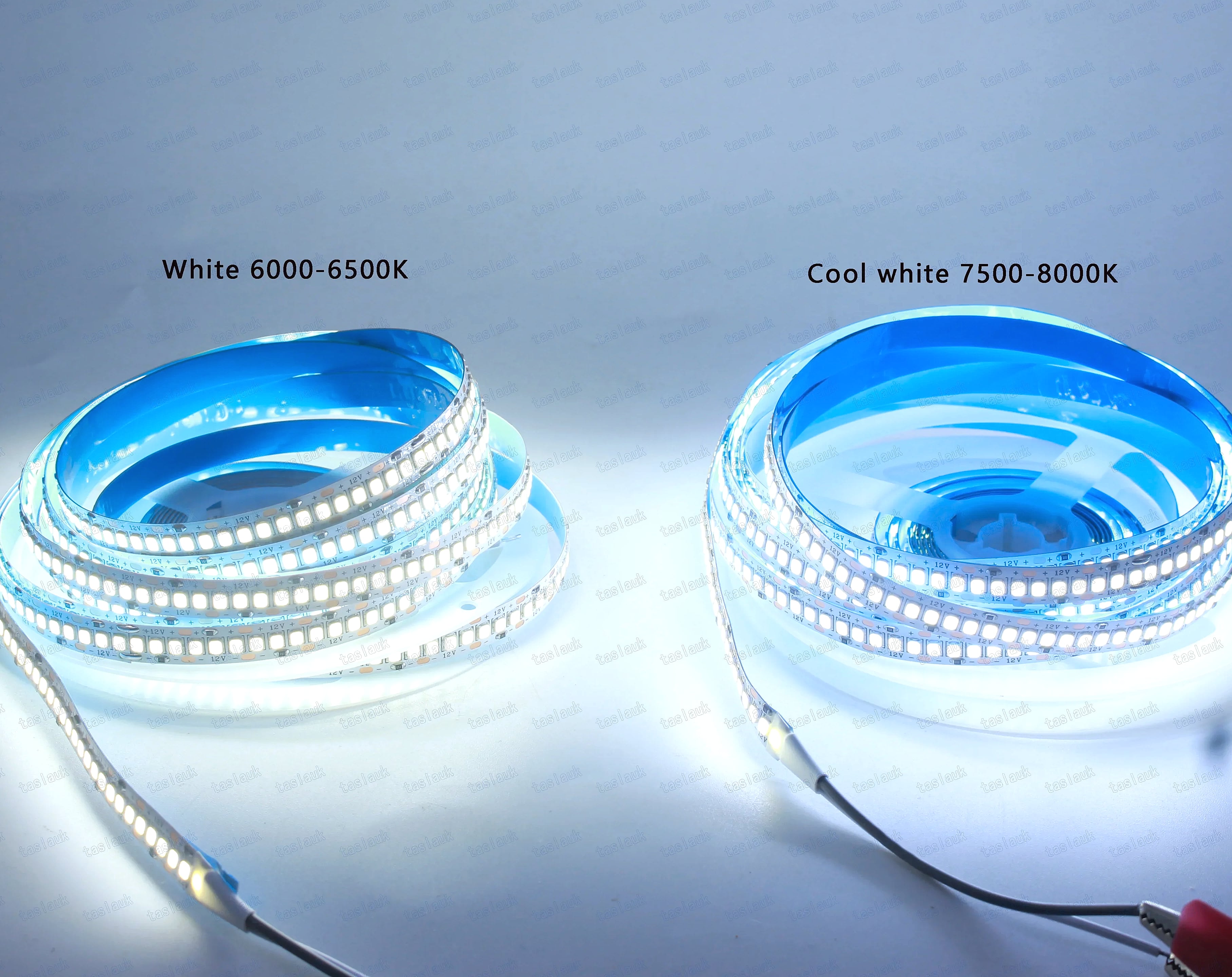 Taslauk 10mm PCB 2835 SMD LED Strip 240 leds/m 12V/24V