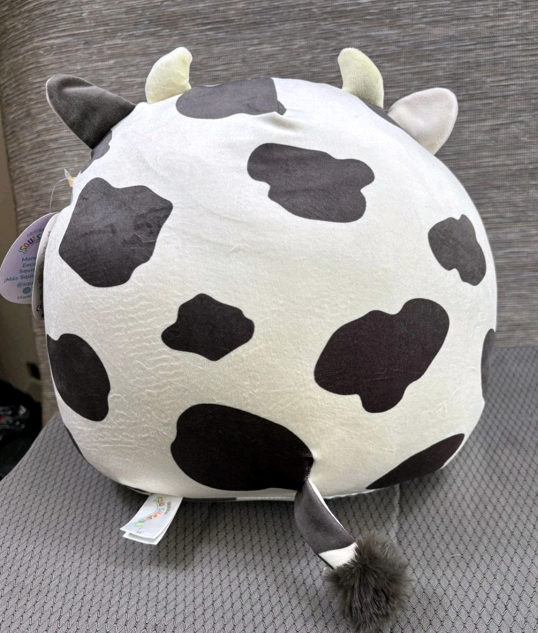 Squishmallows Colin the Cow Plush Stuffed Animal, Carrot Juice Patch - NEW