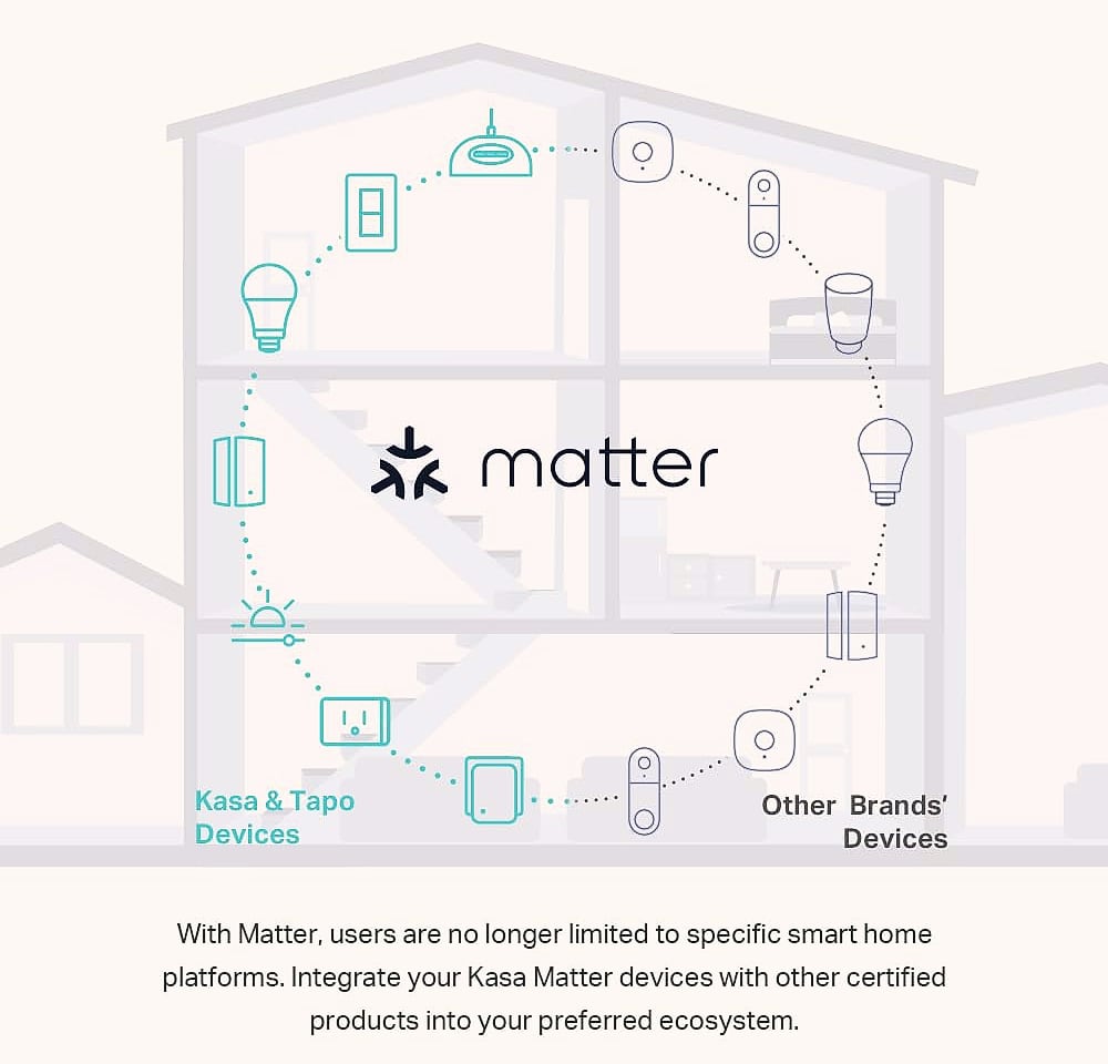 Kasa Smart Matter Light Switch KS205 Voice Control