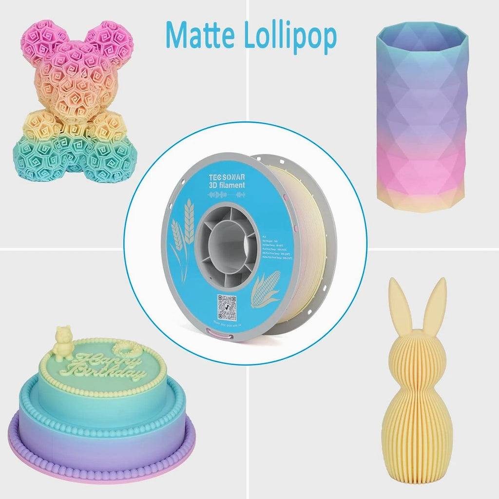 Matte Rainbow PLA 3D Printer Filament, 10 Rolls,1Kg Spool(2.2Lbs) 1.75Mm 3D Prin