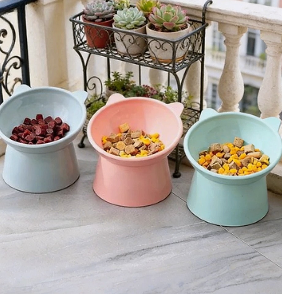 Novelty Moon Cat Ear Raised Pet Bowl Elevated Feeder