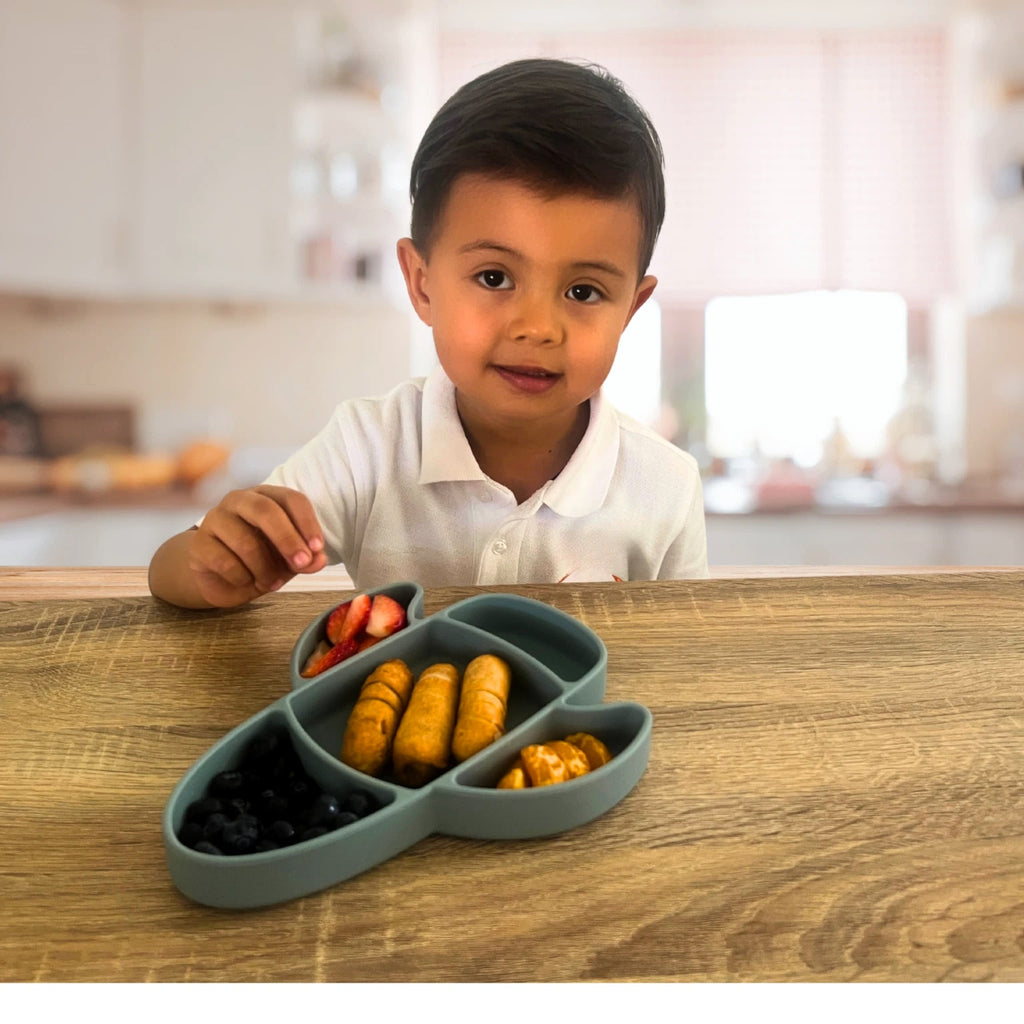 Liitle Sadi Silicone Airplane Toddler Plate, BPA-Free, Baby Plate, Baby Dish.