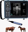 DAWEI Handheld Vet Ultrasound Machine Scanner 6.5MHZ Rectal Probe