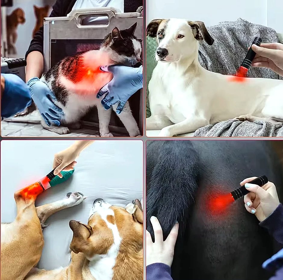 Vilnason Red Blue Light LED Therapy Flashlight