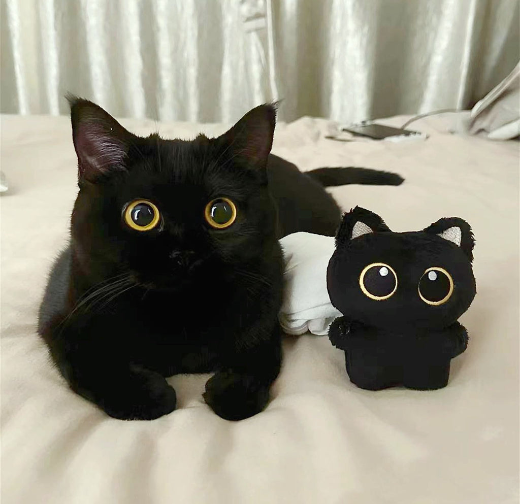 HUIJUFU Black Cat Plush Keychain Purse Charm for Bags
