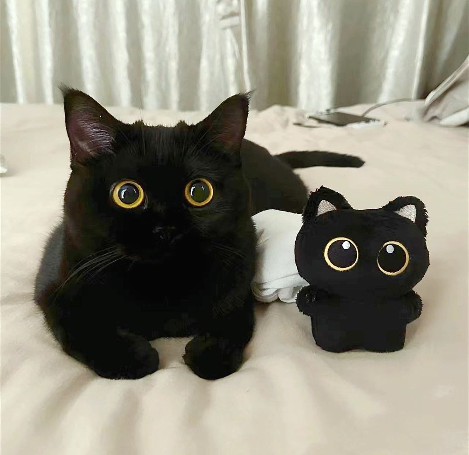 HUIJUFU Black Cat Plush Keychain Purse Charm for Bags