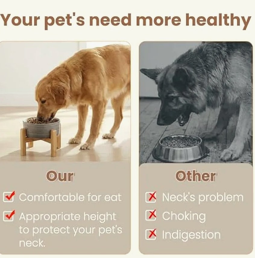 Elevated Ceramic Dog Bowl with Bamboo Stand